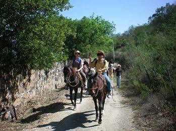 Eco Aventuras Santiago Hotel Santiago  Luaran gambar